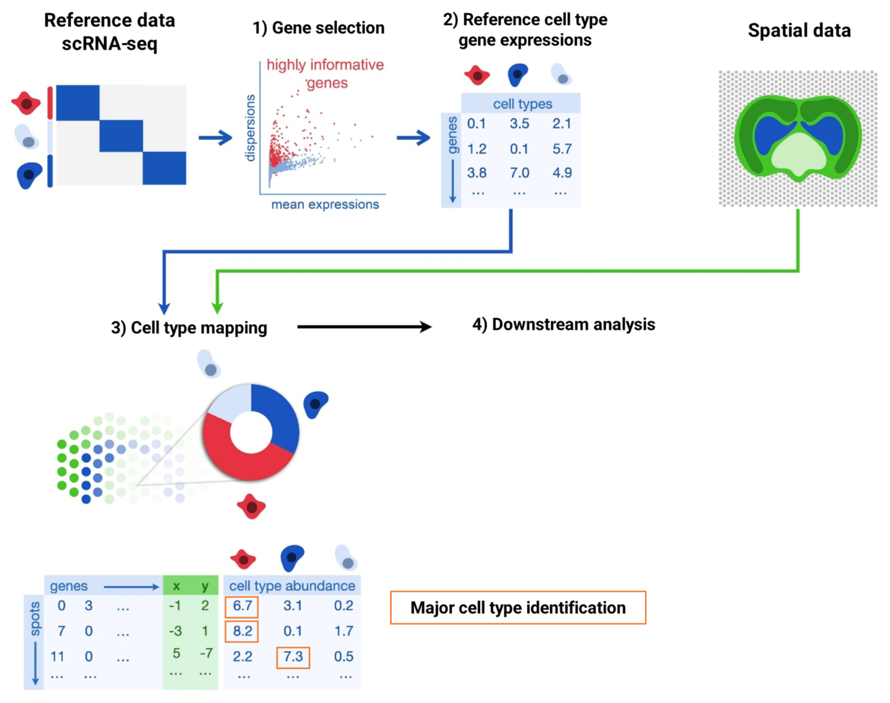 Figure 1 Cell type annotation in spatial transcriptomics
